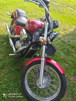 Honda Shadou VT600 - 3