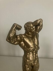 Arnold Schwarzenegger - zlatá soška - 3