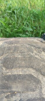 BKT 27x10-15 - 3