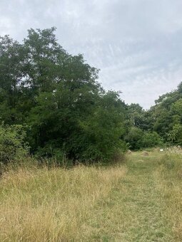 Prodej podílu na pozemcích Praha- Michle - 3