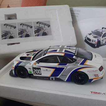 1:18 Bentley gt3 ,Porsche 935 Tsm - 3