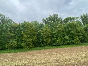Pozemek ostatní plocha Podolí nad Olšavou - 3