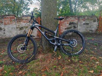Yt capra - 3