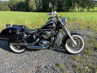 Kawasaki VN800 Classic - 3