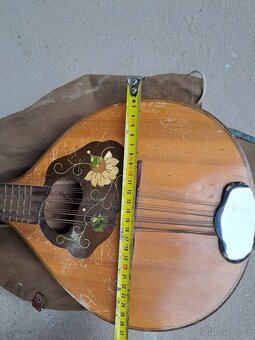 Mandolína 12 strun - 3