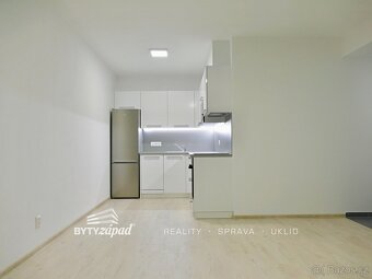 Pronájem, Byty 2+kk, Plzeň, ev.č. yIVB8447 - 3