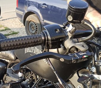 Harley davidson sportster iron 1200 sreamin eagle - 3