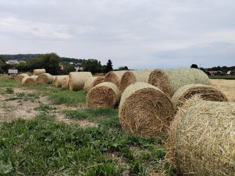 Pšeničná sláma - 3