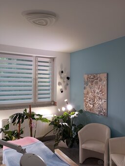 Místo k podnikání  Praha 5 - Košíře - 3