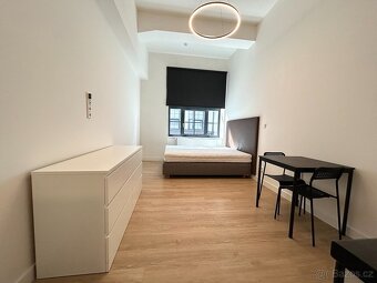 krásný byt 1+kk, 28m2 v ul. Poděbradská, Praha 9 - Vysočany - 3