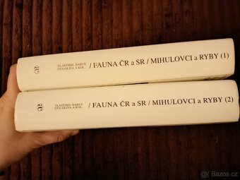 Mihulovci (Petromyzontes) a ryby (Osteichthyes) - 3