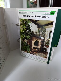 Pokojové květiny od A po Z - 3