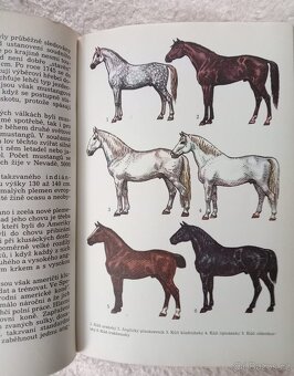 Světem zvířat III. Domácí zvířata - 3