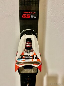 lyže nordica dobermann - 3