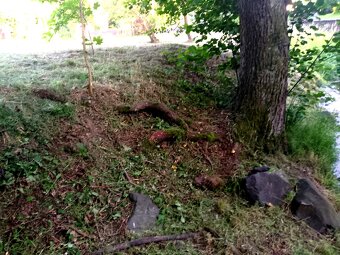 Pozemek stavební ok Děčín - 3