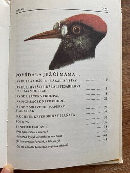 Rudo Moric - Povídala ježčí máma - 3