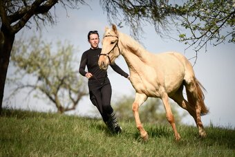 Lusitano klisna 2 letá - 3