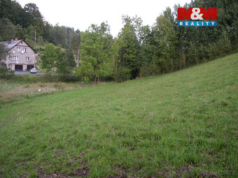 Prodej louky, 2749 m², Janův Důl - 3