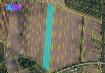 Prodej pole, 35000 m2, Vranovice nad Svratkou - 3