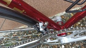 Vicini Cromvelato 54 cm - 3