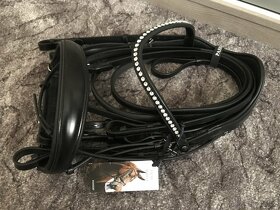 Drezurní uzda Passier, vel. cob NOVÁ - 3