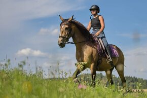Extra Lusitano kobyla - 3