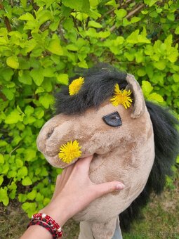 Drezurní hobby horse - 3