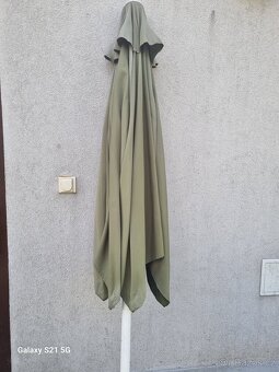 slunečník - 3