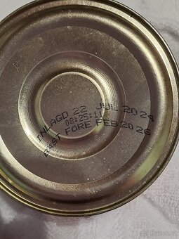 SURSTRÖMMING rybičky - 3