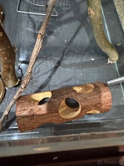 Terarium - 3