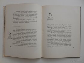 Dášenka čili život štěněte - 3