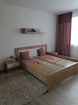 Pronájem bytu 3+1 - 3