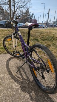 TREK Precaliber 24"- kolo pro dívku cca 9-14 let - 3