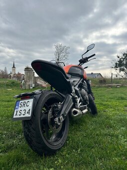 TRIUMPH TRIDENT 660 - 3