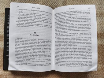 Kniha Stephen King: Osvícení - 3