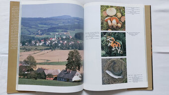 Krásy jižních Čech - 3