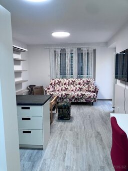 Dlouhodobý pronájem bytu 1+KK v novostavbě - 3