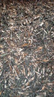 Trnková štěpka – 70 l pytle - 3