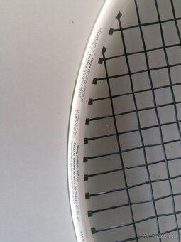 Tecnifibre TF40 290g - 3