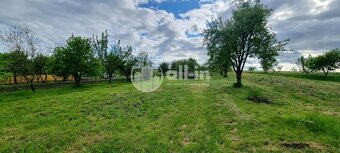 Prodej ovocného sadu o výměře 1062 m2 v Tištíně - 3