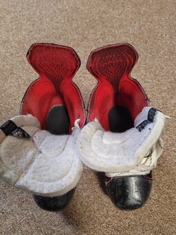 Brusle Bauer Vapor X 2.7 Y11 EE - 3
