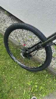 Celopéro giant reign 26 - 3