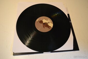 Depeche Mode - Angels and swarms lp vinyl - 3