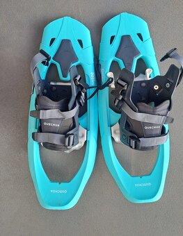 Sněžnice Quechua - 3