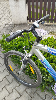 Raleigh horské kolo, pánské - 3