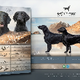 Flat Coated Retriever - pejsci s PP - 3
