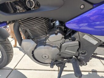 SUZUKI XF 650 - 3