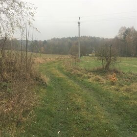 Prodej pozemku 5142m2 v Lindavě - 3