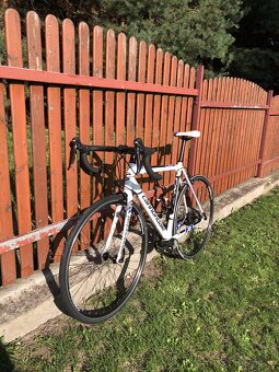 Cannondale CAAD 8, velikost 54 - 3