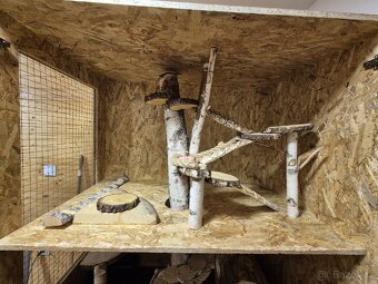 Klec pro činčily, osmáky (hlodavce) - 3